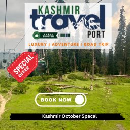 Kashmir 4 Nights 5 Days Tour Packages